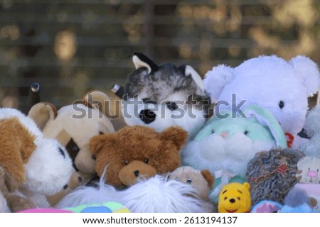 A diverse collection of stuffed animals, including teddy bears, a rabbit, a wolf plush, and Winnie the Pooh toy, set against a blurred background emphasizing the toys.