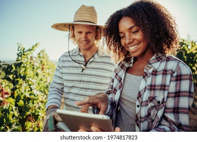 Diverse farmer couple working together on project standing in vineyards researching information on digital tablet  - Powered by Shutterstock