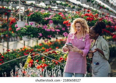 Diverse female florist working at the plant nursery and using tablet and drinking coffee. Happy multiracial woman coworkers working in greenhouse and taking care of potted flowers. - Shutterstock ID 2180658527