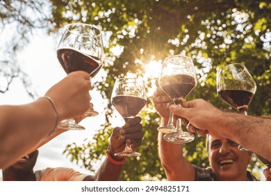 Diverse group of friends raising wine glasses against sunlit trees. Close-up of hands toasting with red wine outdoors, representing celebration, friendship, and joyful moments in nature. - Powered by Shutterstock