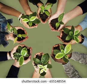 Diverse Hands Holding A Plant On A Hands