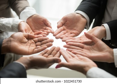 Diverse Multi-ethnic Business Team Members Join Helping Hands Group Together Palms Up As Concept Of Involvement, Contribution In Common Goal, Supporting Unity And Crowdfunding Donation, Close Up View