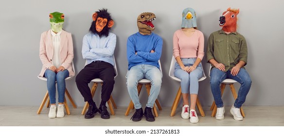 Diverse People In Animal Masks On Head Sit On Chairs In Line Wait For Interview Or Recruitment Talk. Unknown Job Candidates In Headmasks In Queue Indoors. Fun At Workplace. Banner Shot.