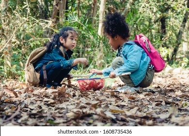 Diverse People Of Asian And African American Children Playing Together In Forest During Summer Camp