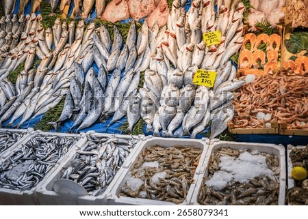 Diverse selection of freshly caught fish, including sea bream and mackerel, arranged on ice with price tags at a busy market stall in Istanbul, Turkey