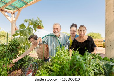 Diverse Seniors Together Tending To A Community Garden