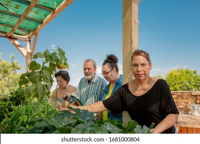 Diverse Seniors Working Together In A Community Garden