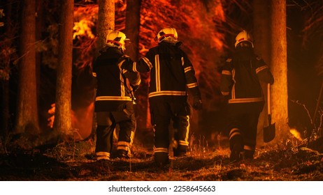 Diverse Squad of Male and Female Firefighters Trail Deep in a Forest to Stop a Wildland Fire from Spreading. Superintendent Giving Orders and Instructions on Where to Start to Extinguish the Fire. - Shutterstock ID 2258645663