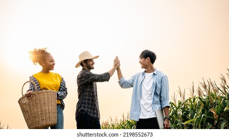 Diversity Group Of Farmers Are Discussing In The Corn Field, Using A Labtop For Learning And Investment. Two Men And One Woman. Team Work In Agribusiness Outside.hi Five For Successful Agriculture.