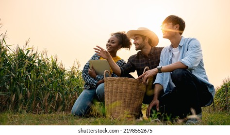 Diversity group of farmers are discussing in the corn field, using a labtop for learning and investment. Two men and one woman. Team work in agribusiness outside.hi five for successful agriculture. - Powered by Shutterstock