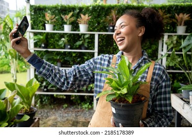 Diversity Of Woman Selfie With Green Plants And Wearing Apron In Botanical Store. Happy Small Business Owner Working At Flower Shop Standing Surrounded By Plants For Customers