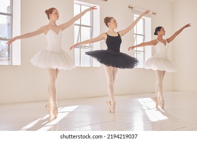 Diversity women in ballet dance collaboration, art school team performance and dancing in class studio. Young professional dancer or group of creative students dancing together by window and - Powered by Shutterstock