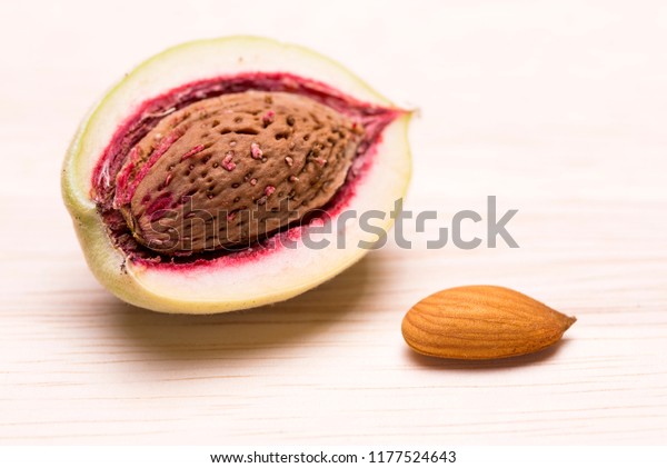 Divided almond fruit in hard shell beside kernel on\
a wooden table