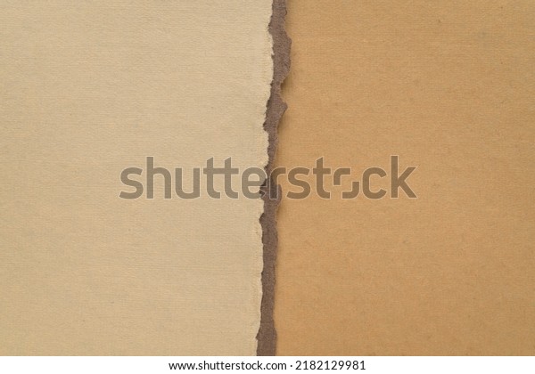 divided\
paper background in earth tones with a copy\
space