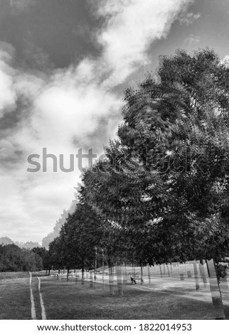 Similar – Image, Stock Photo maverick Tree Heathland