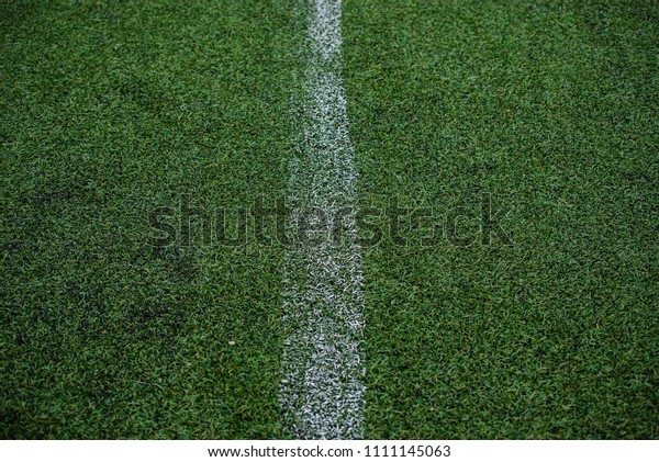 The\
dividing line on the grass of a football\
field.