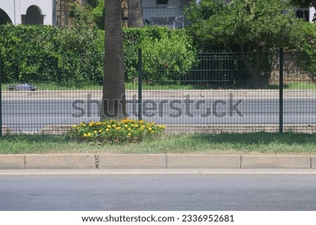 The dividing strip on a wide city street with trees and flowers against the backdrop of greenery and residential buildings close-up on a sunny summer day. Road safety, minimalism