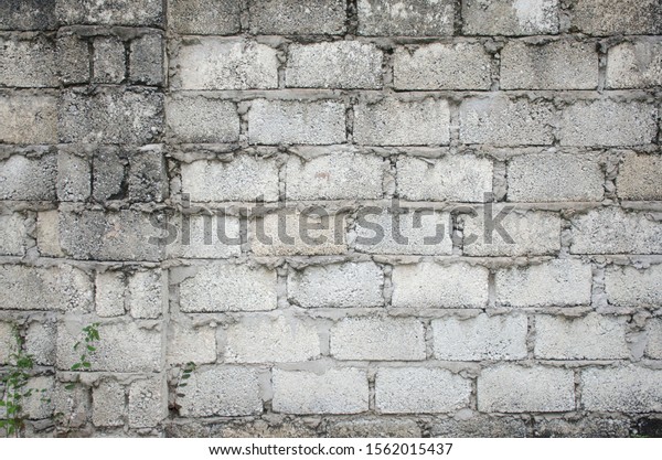 the dividing wall between neighbors is a\
backgrounddividing wall between\
houses