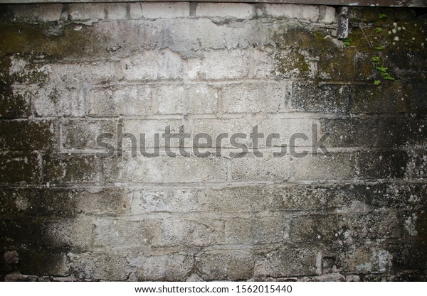 the dividing wall between neighbors is a\
backgrounddividing wall between\
houses