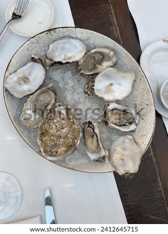 A divine ensemble of eight plump oysters, nestled on ice.An oceanic masterpiece, promising a symphony of briny richness in each succulent bit,a culinary indulgence that captures the essence of the sea