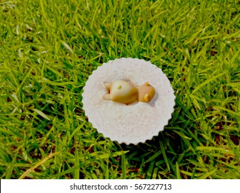 Diving in coconut soap