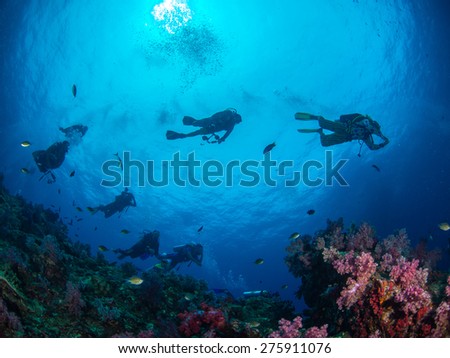 Diving in deep blue sea