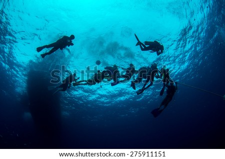 Diving in deep blue sea