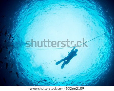 Diving in deep blue sea