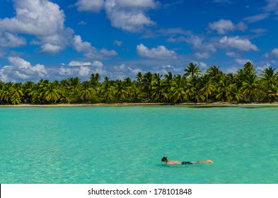 Diving, Dive, Coast Of The Caribbean Islands, Saona, Dominican Republic