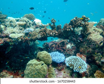 648 Outer reefs Images, Stock Photos & Vectors | Shutterstock