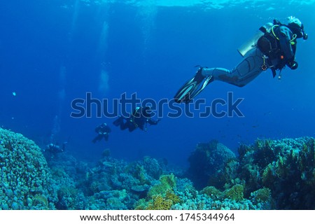 Diving instructor and group students in underwater exercise. Instructor teaches students to admire. Underwater scuba diving education and training.