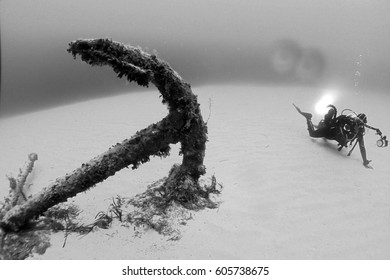 1,686 Technical diver Images, Stock Photos & Vectors | Shutterstock