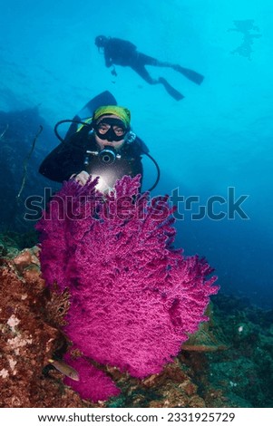 Diving photo: a diver posting behind a fascinating purple soft coral.