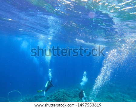 Diving photo and underwater ocean background. Free space for your decoration. 