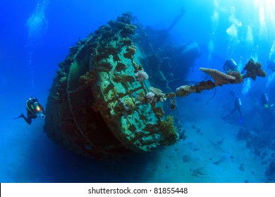 Diving In The Red Sea