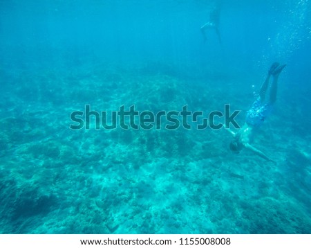 diving under water in the sea