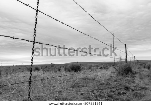 Divisions.  Looks the same\
to me.  Pick your side. Barbed wire fence line in a very empty\
corner of eastern Oregon on a stormy day.  Black and white with\
focus on fence line