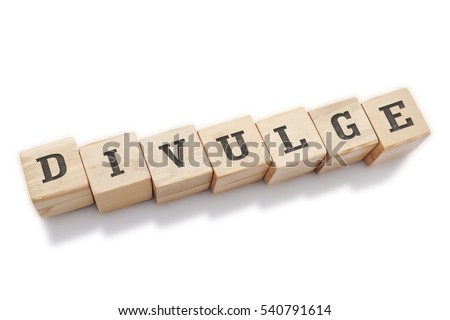 DIVULGE word made with building blocks isolated on white