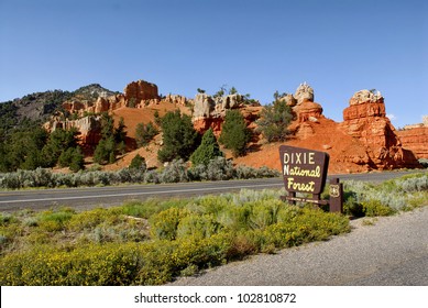 Dixie National Forest