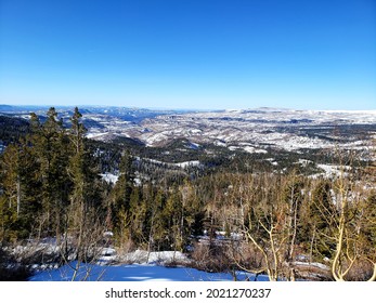 Dixie National Forest March 2021