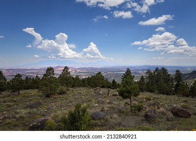 Dixie National Forest In Utah