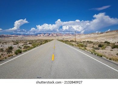 Dixie National Forest In Utah