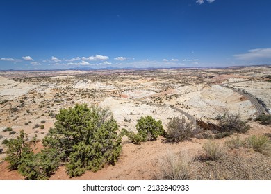 Dixie National Forest In Utah