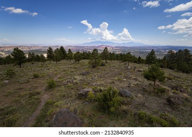 Dixie National Forest In Utah