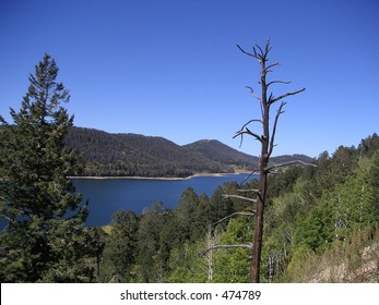 Dixie National Forest, Utah