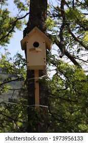 DIY Birdhouse For Birds In The Forest