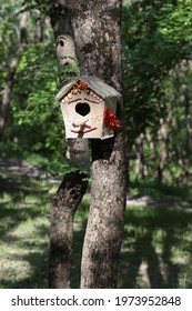 DIY Birdhouse For Birds In The Park On A Tree