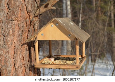 
DIY Birdhouse In Krasnoyarsk Park In Winter