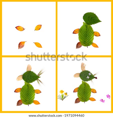 DIY leaf craft, various colorful dead leaves