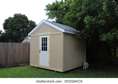 DIY Project Model Backyard Tool Shed With A Dog Outside In A Yard. Many Trees Are Surrounding The Shed.